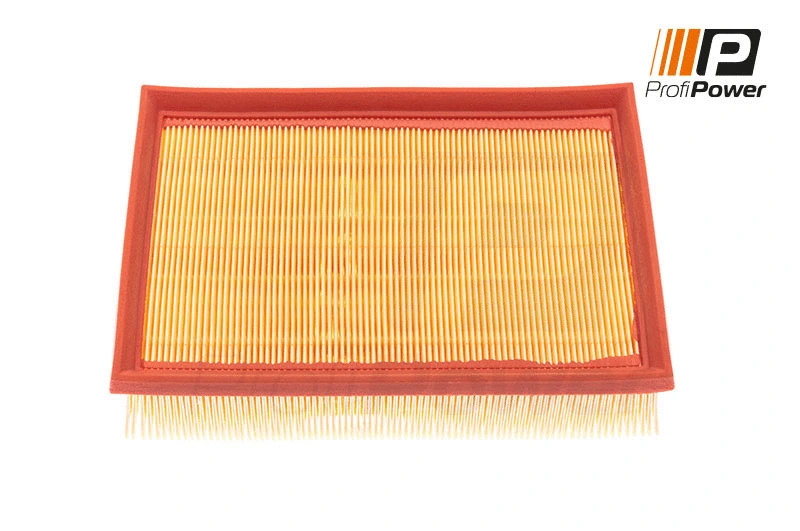Air Filter (2F0092)