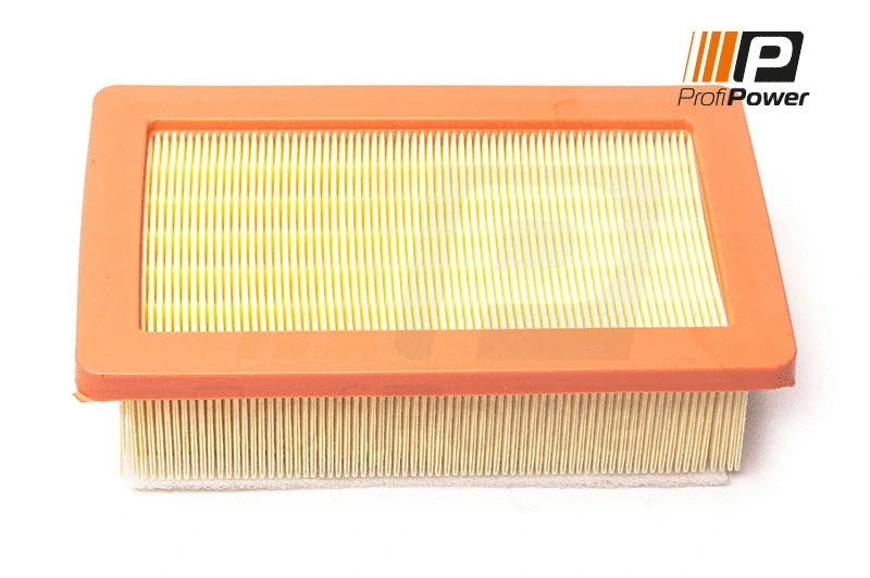 Air Filter (2F0178)