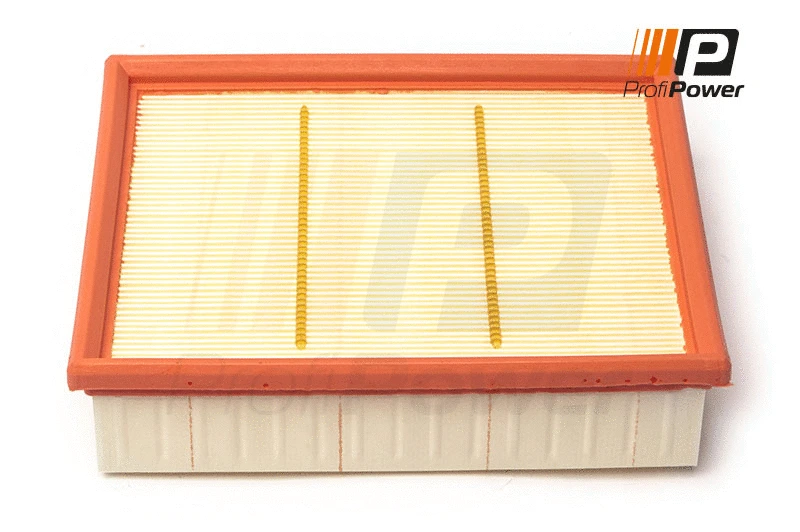 Air Filter (2F0166)