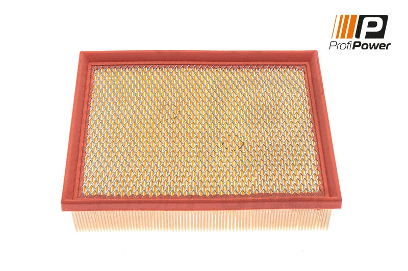 Air Filter (2F0135)