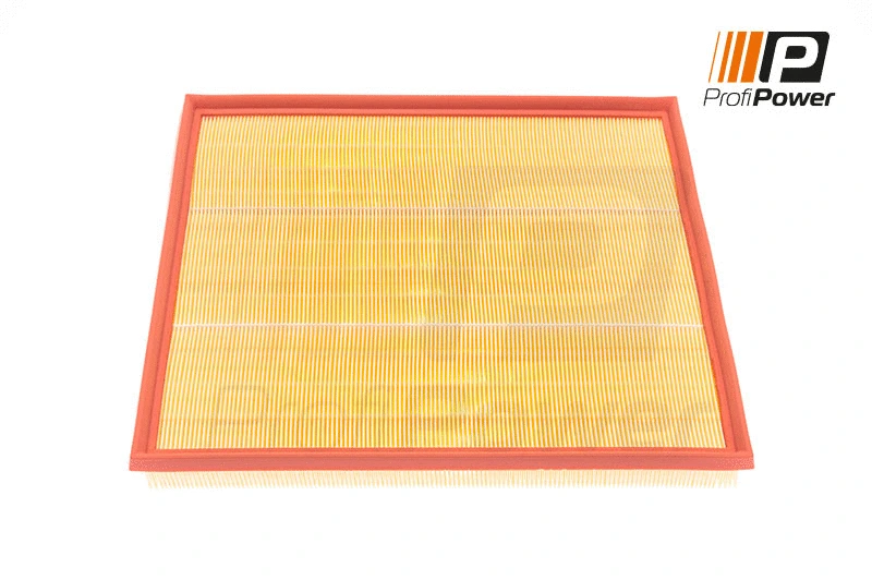 Air Filter (2F0153)
