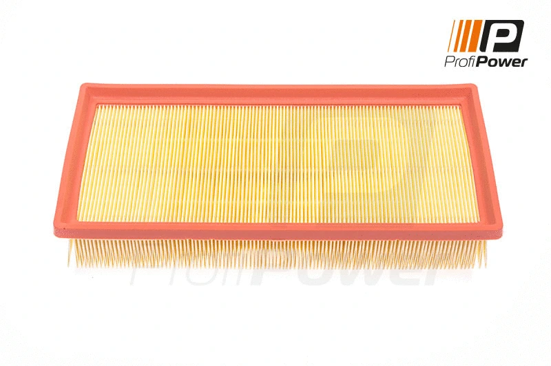 Air Filter (2F0146)