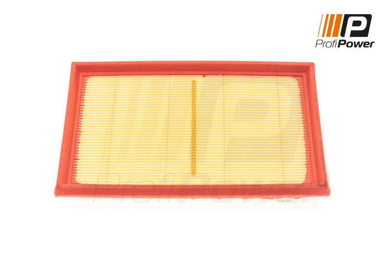 Air Filter (2F0134)