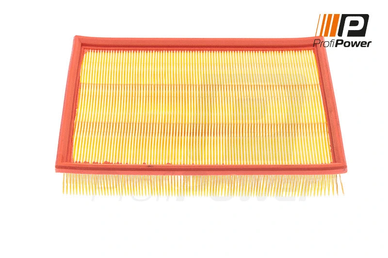 Air Filter (2F0077)