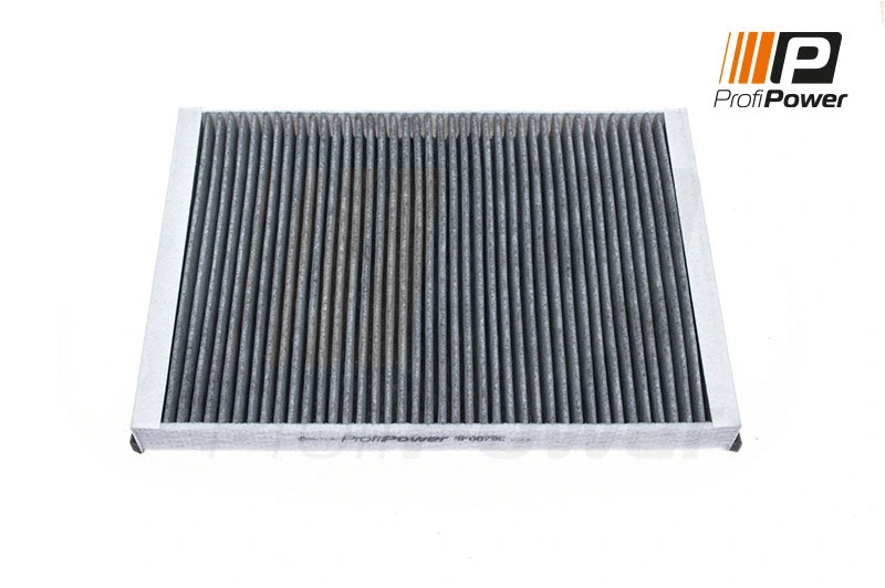 Filter, cabin air (4F0079C)