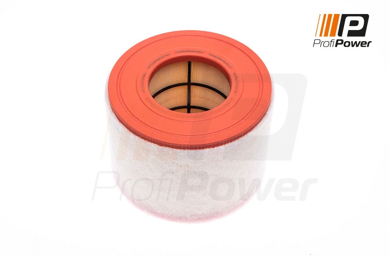 Air Filter (2F0137)