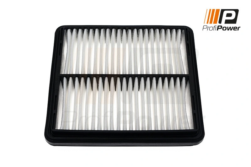 Air Filter (2F0101)