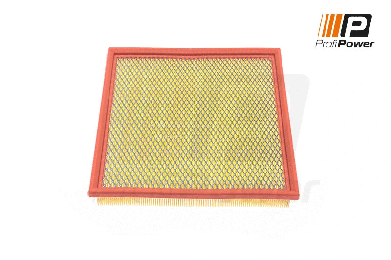 Air Filter (2F0089)