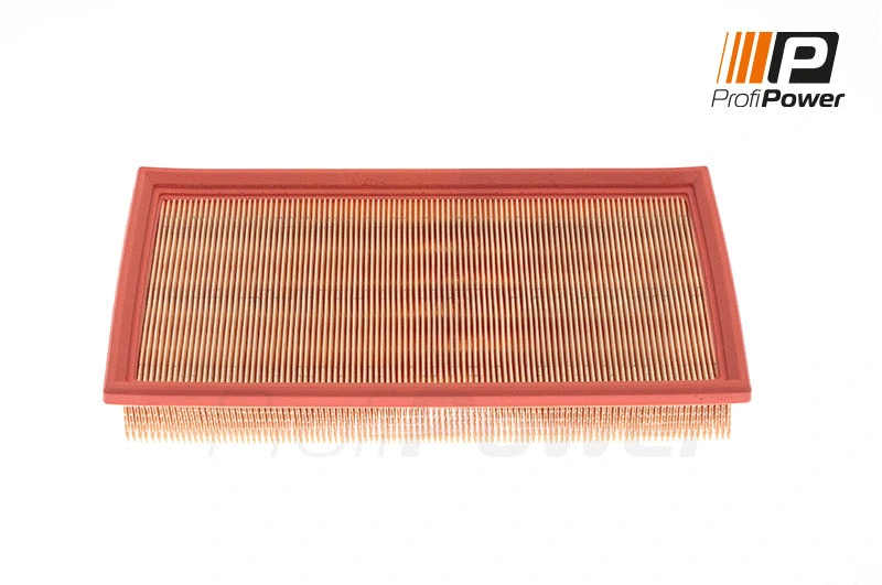 Air Filter (2F0066)