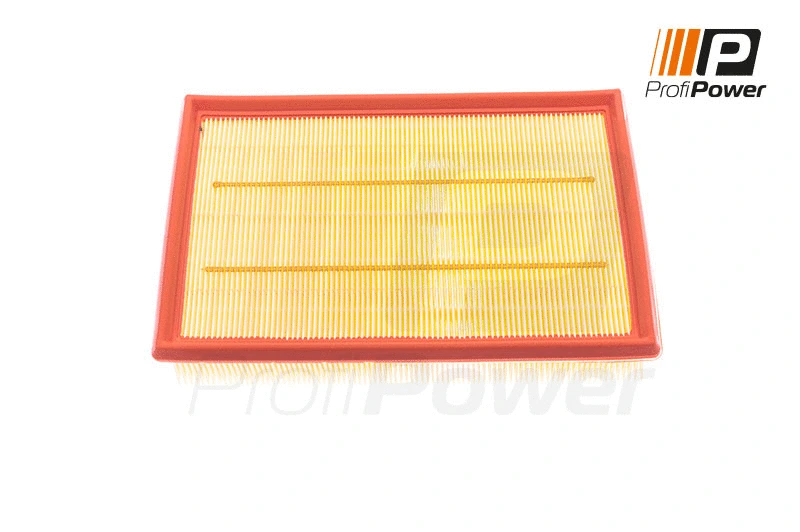 Air Filter (2F0074)