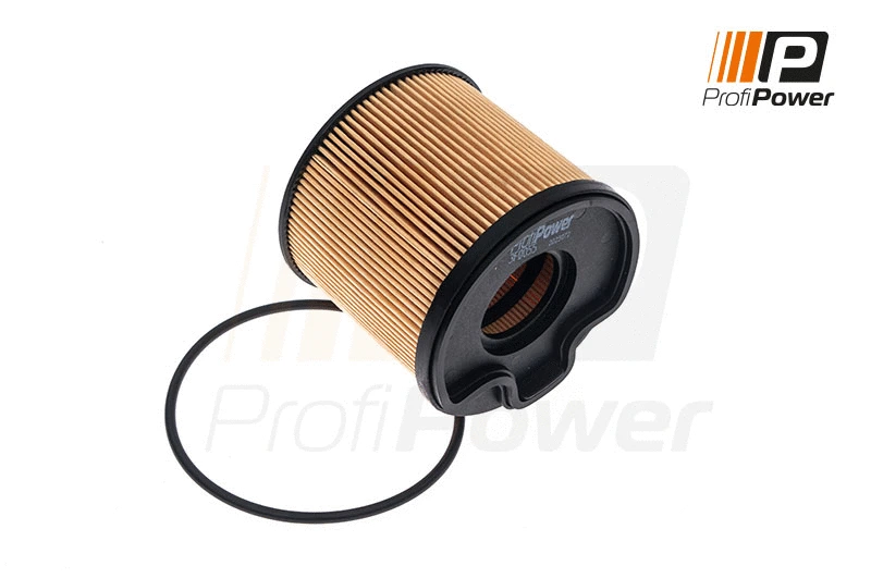 Fuel Filter (3F0055)