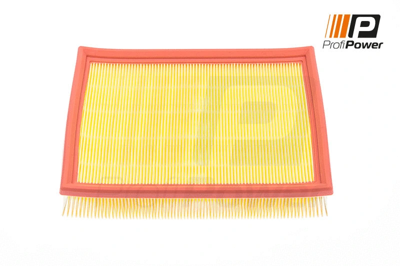 Air Filter (2F0069)