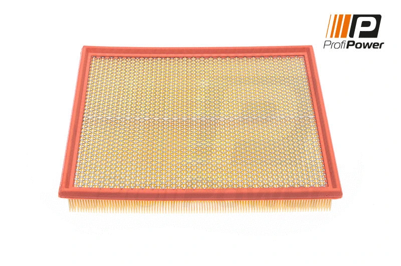 Air Filter (2F0010)
