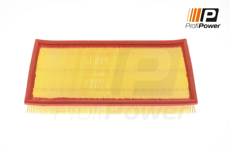 Air Filter (2F0098)