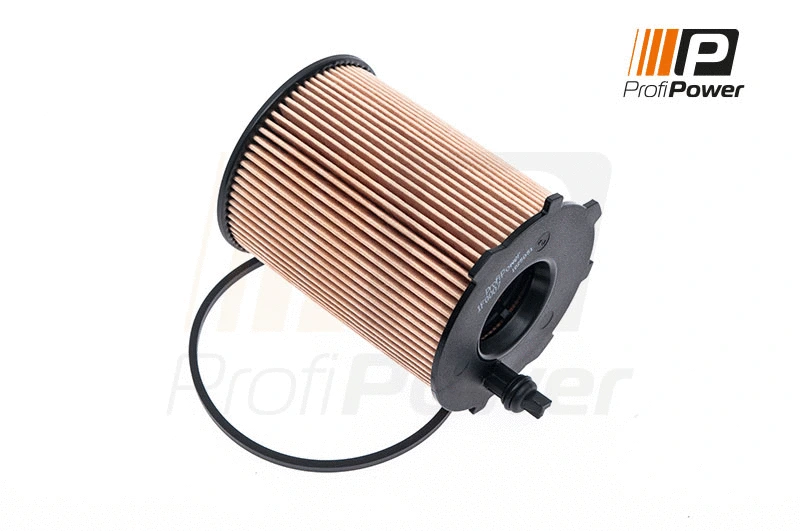 Oil Filter (1F0007)