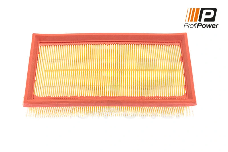 Air Filter (2F0100)