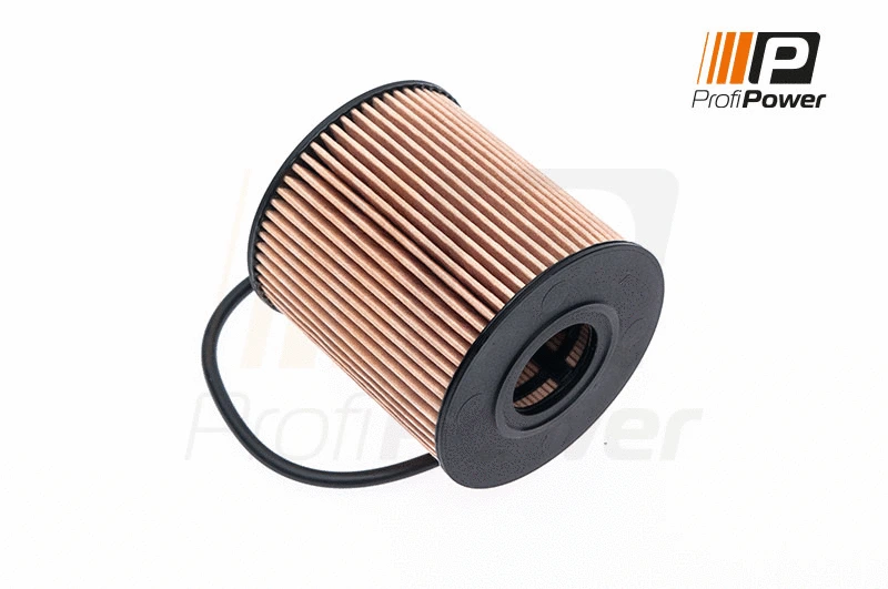 Oil Filter (1F0005)