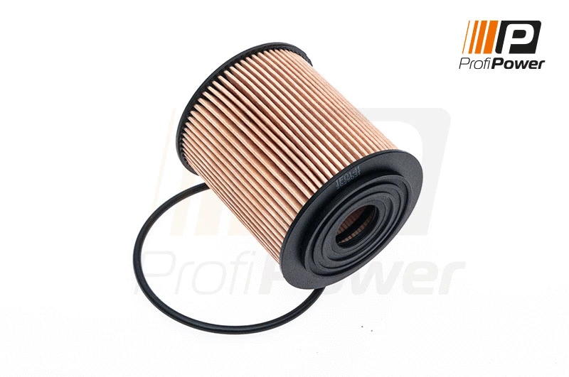 Oil Filter (1F0141)