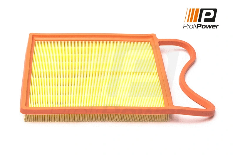 Air Filter (2F0189)