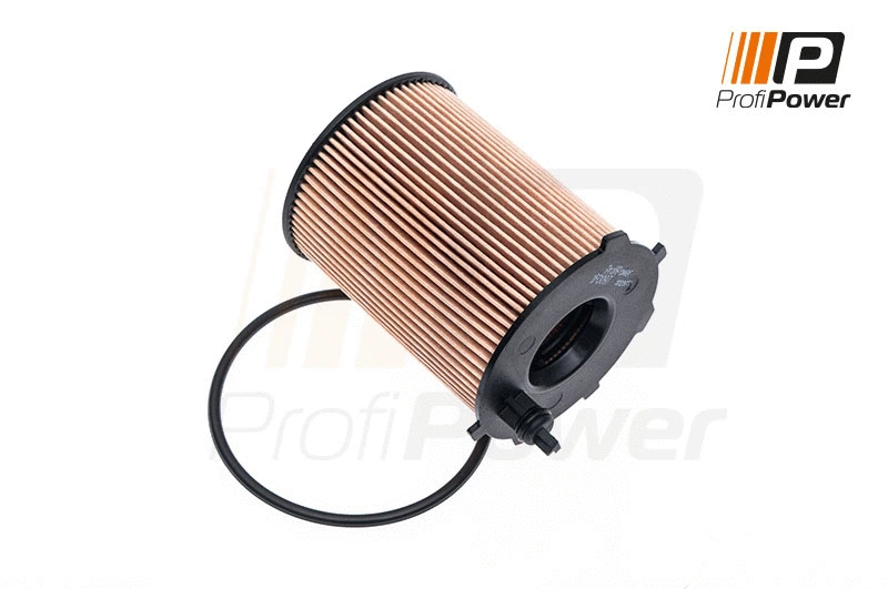 Oil Filter (1F0097)