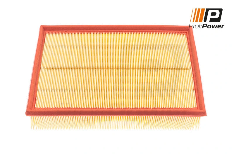 Air Filter (2F0025)