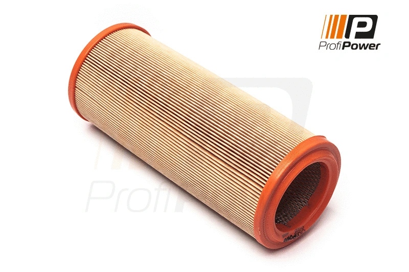 Air Filter (2F0195)