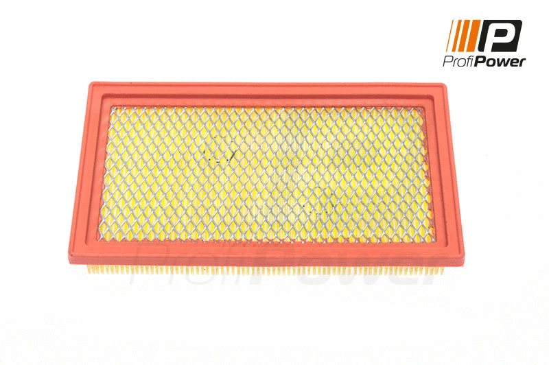 Air Filter (2F0129)