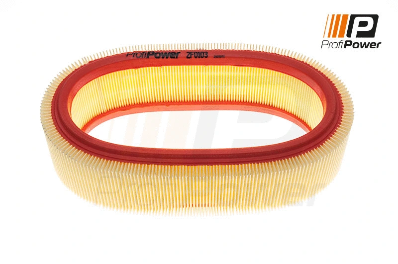 Air Filter (2F0103)