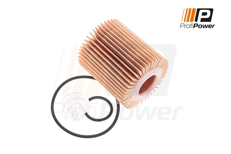 Oil Filter (1F0050)