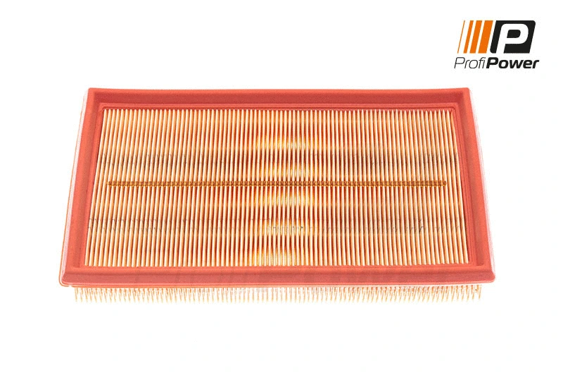 Air Filter (2F0019)