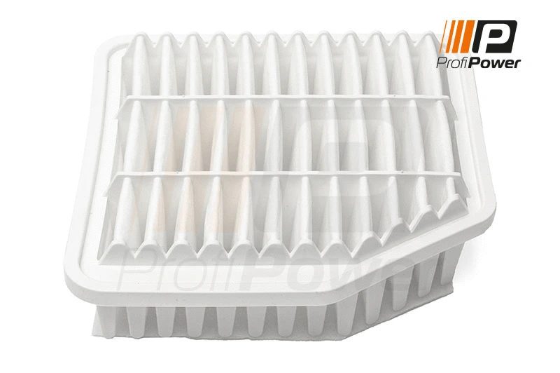 Air Filter (2F0184)