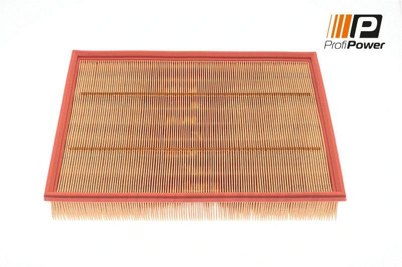 Air Filter (2F0015)