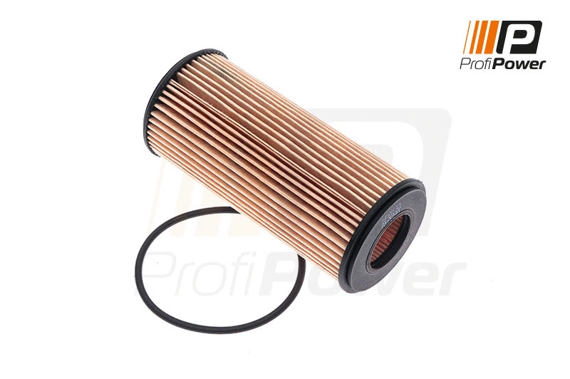 Oil Filter (1F0131)
