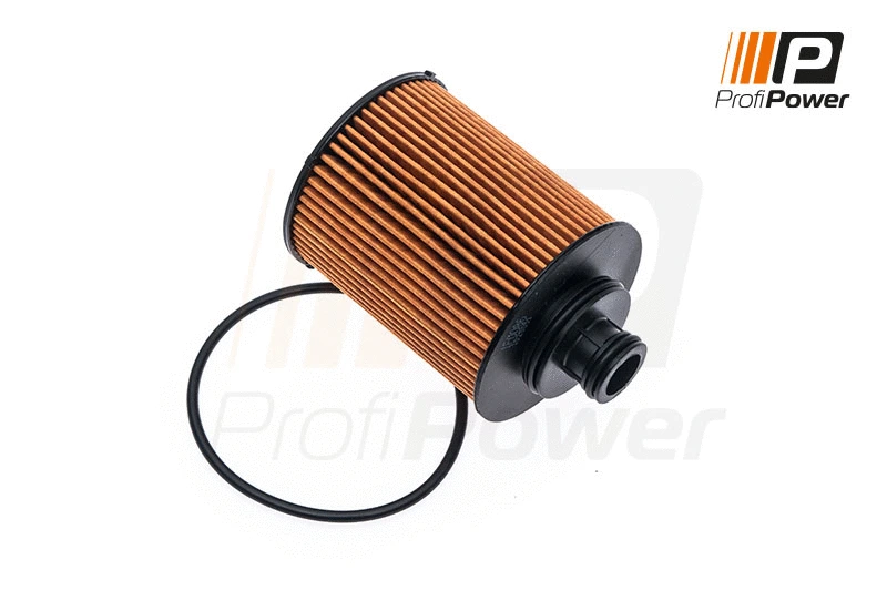 Oil Filter (1F0086)