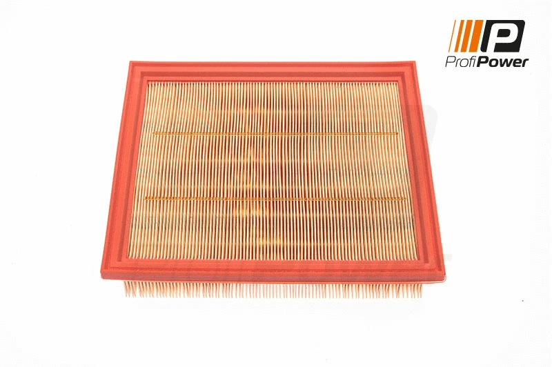 Air Filter (2F0080)