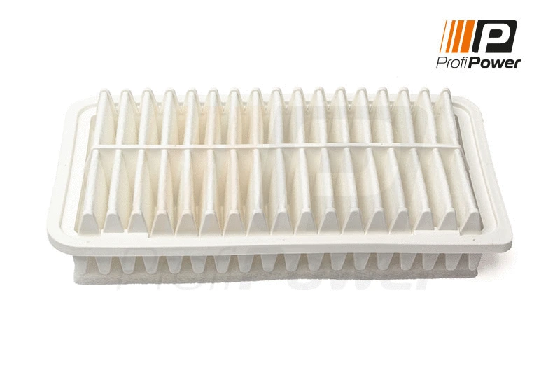 Air Filter (2F0183)