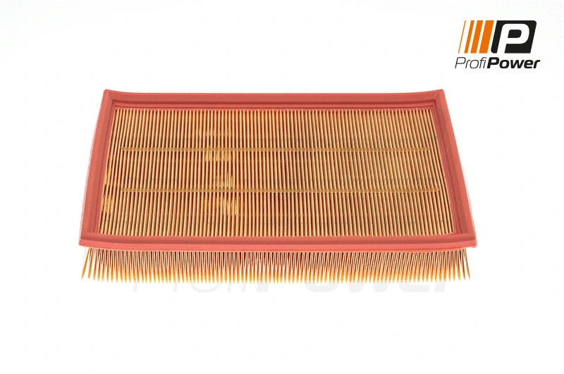 Air Filter (2F0062)