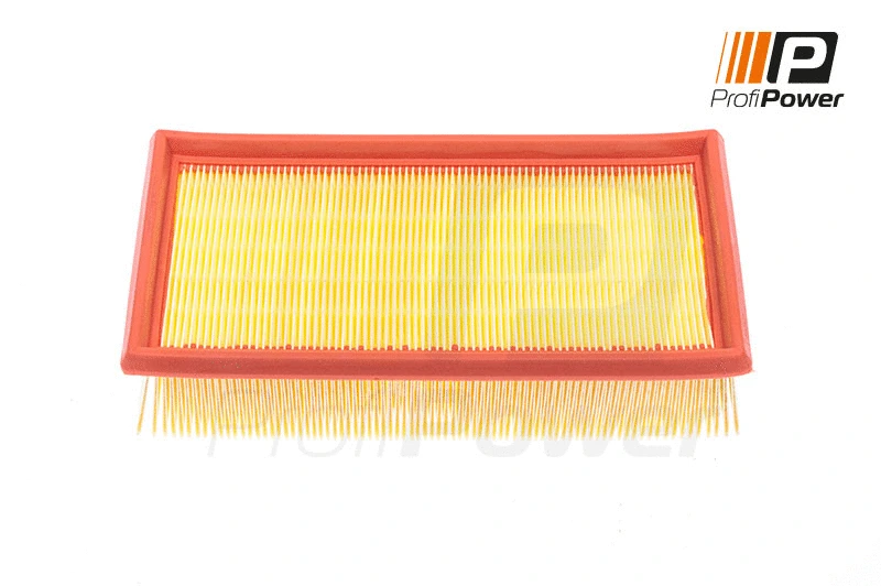 Air Filter (2F0091)