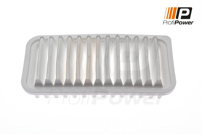 Air Filter (2F0117)