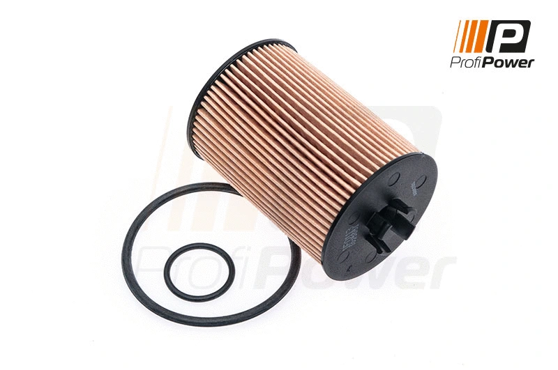Oil Filter (1F0113)