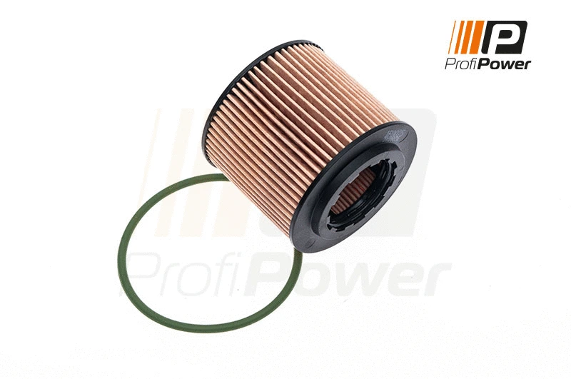 Oil Filter (1F0025)