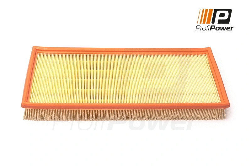 Air Filter (2F0167)