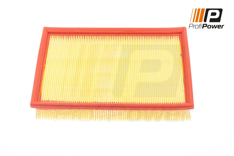Air Filter (2F0121)