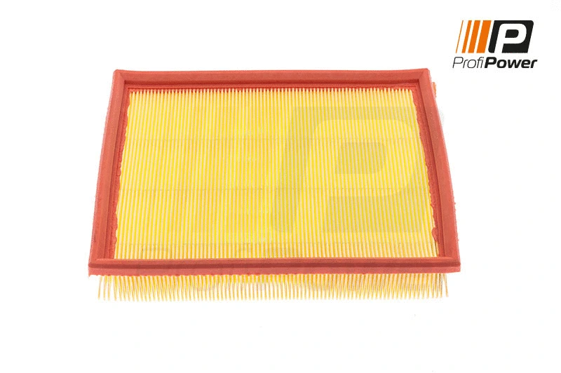 Air Filter (2F0156)
