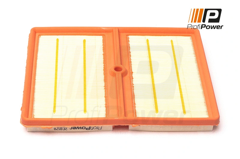 Air Filter (2F0170)