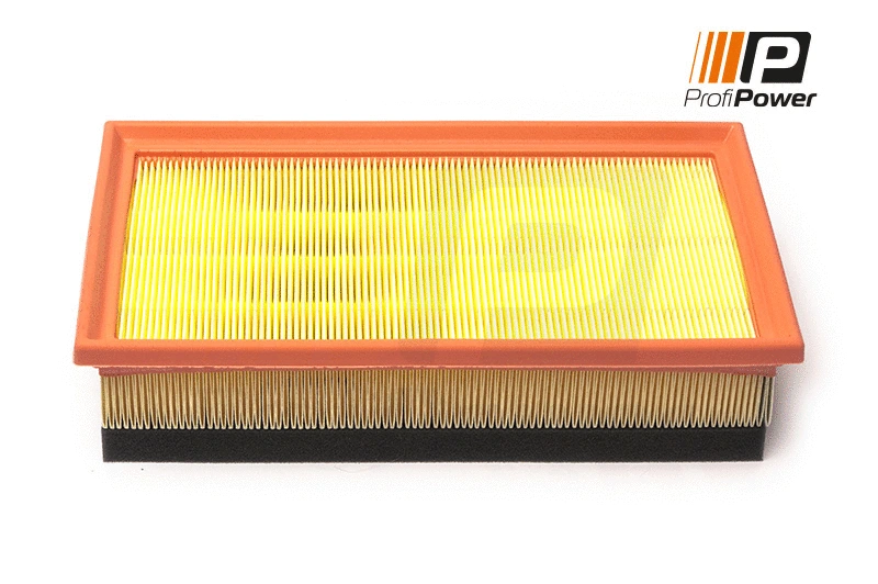 Air Filter (2F0164)