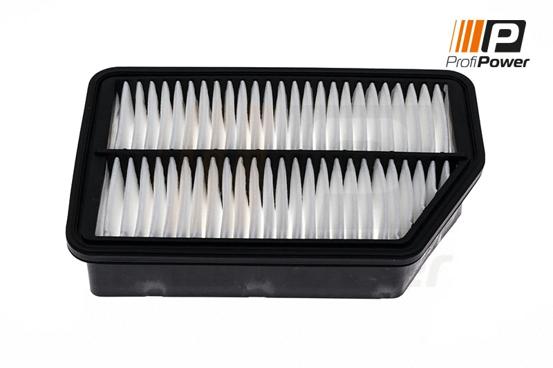 Air Filter (2F0047)