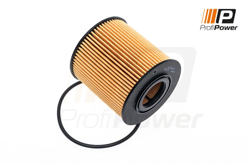 Oil Filter (1F0070)