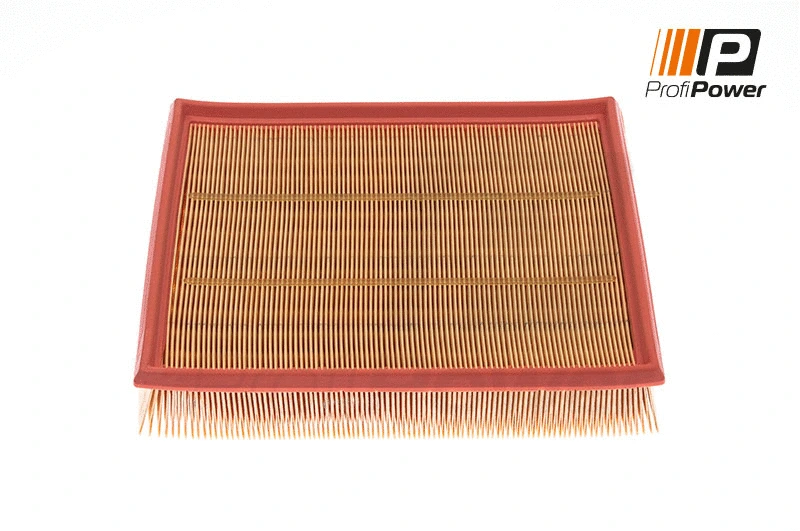 Air Filter (2F0046)
