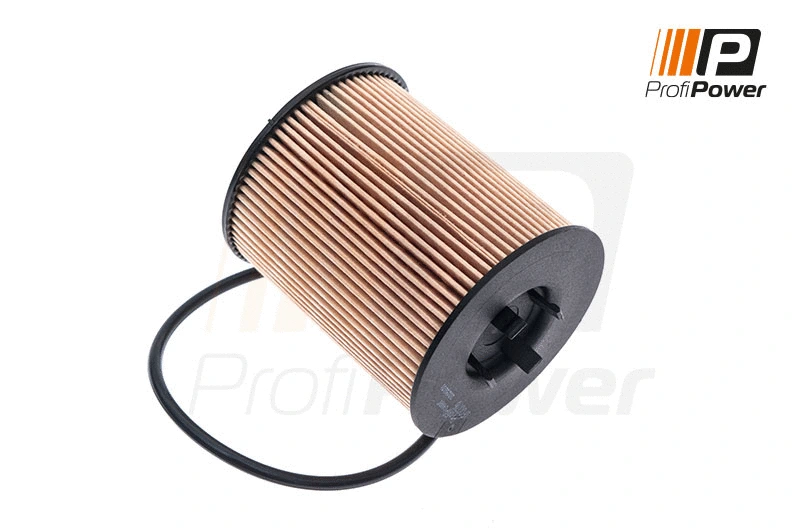 Oil Filter (1F0076)